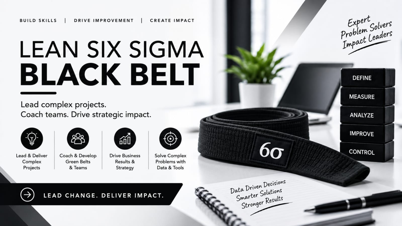 Lean Six Sigma Black Belt