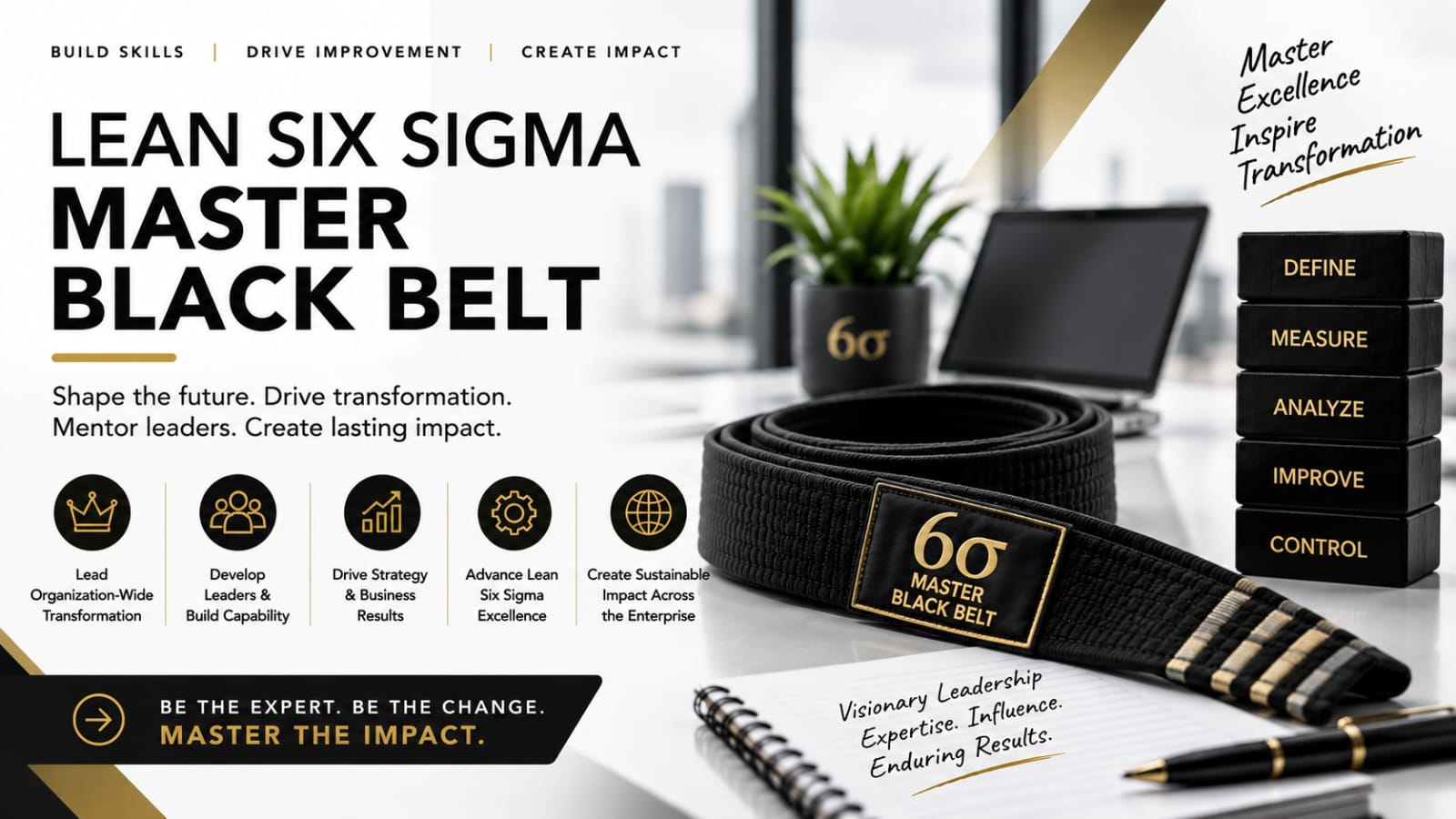 Lean Six Sigma Master Black Belt